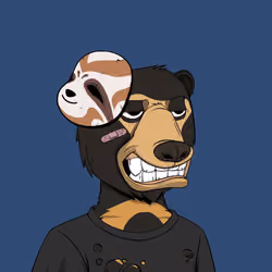 Okay Zuki Bears #4168