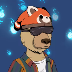 Okay Zuki Bears #2440