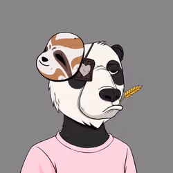 Okay Zuki Bears #4929