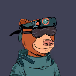 Okay Zuki Bears #3263