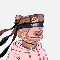 Okay Zuki Bears #3366