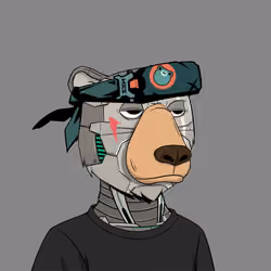 Okay Zuki Bears #932