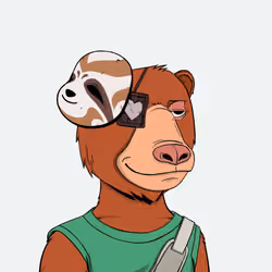 Okay Zuki Bears #4926