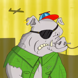 66