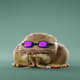 6027