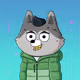 8455