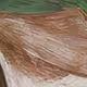 126