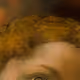 137