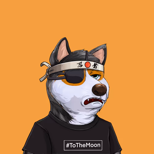 Shibe Society