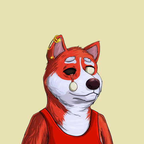 Shibe Society