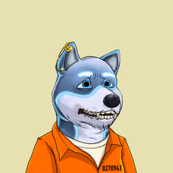 Shibe #326