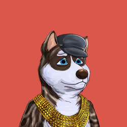 Shibe #325
