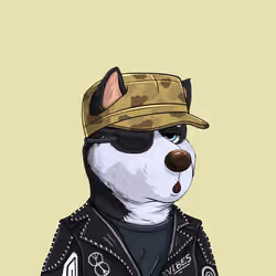 Shibe #418