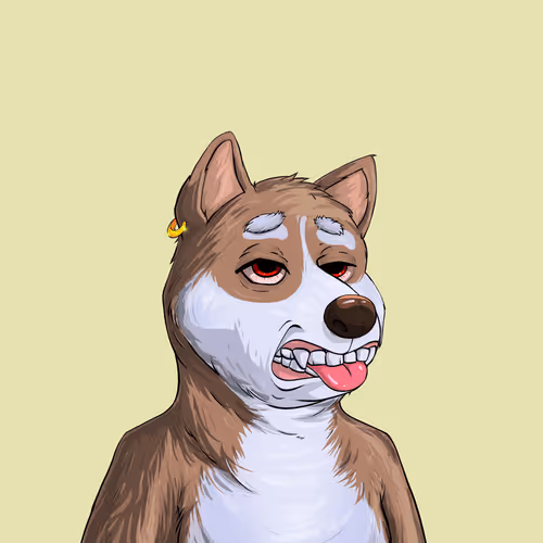 Shibe Society