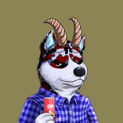 Shibe #328