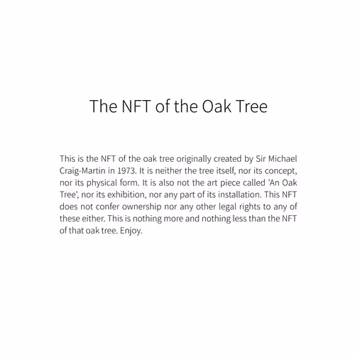 The NFT of the Oak Tree Collection