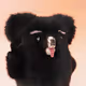 445