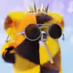 164