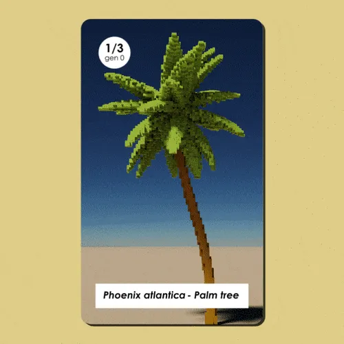 Item #7 Media