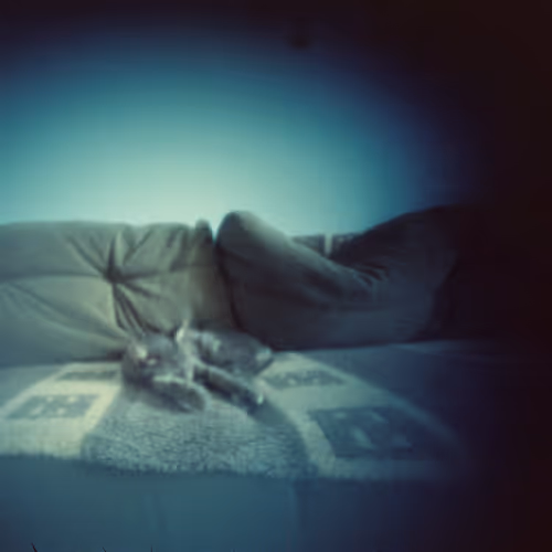 💤