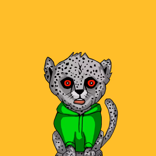 Cheetahcubcoalition