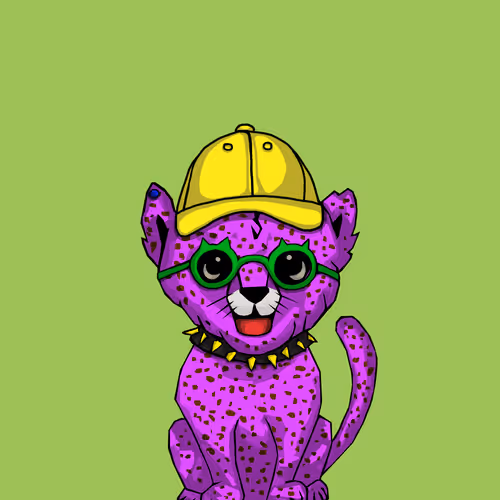 Cheetahcubcoalition