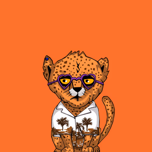 Cheetahcubcoalition