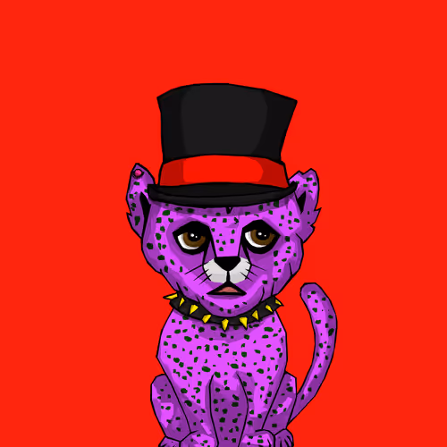 Cheetahcubcoalition