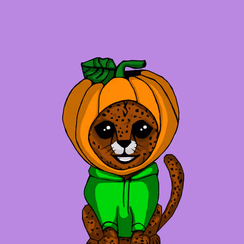 Cheetahcubcoalition