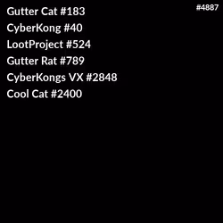 4887