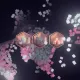 12702