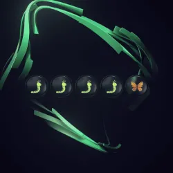 🐛🐛🐛🐛🦋 | Metamorphosis
