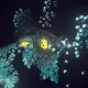 12705