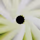 389