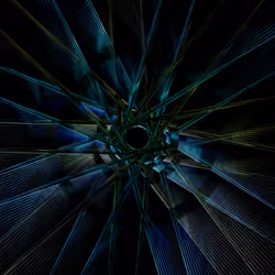 251