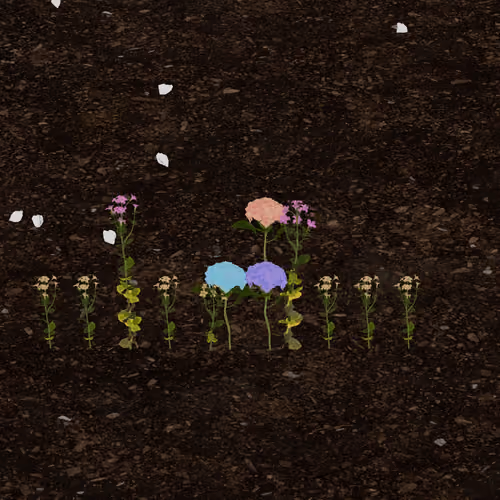 0xb2b2's Token Garden