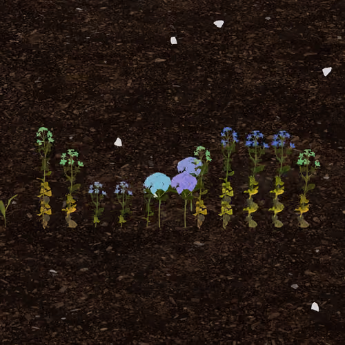 novachrone.eth's Token Garden