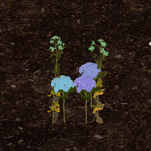 kaihan.eth's Token Garden
