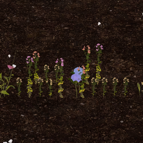 Token Garden