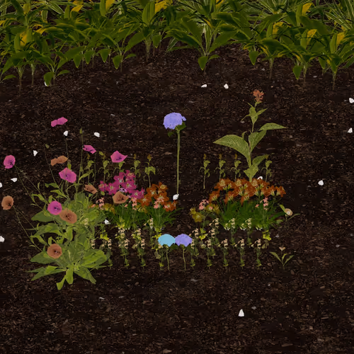 0x2548's Token Garden