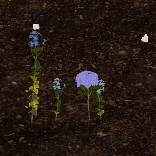 0xb585's Token Garden