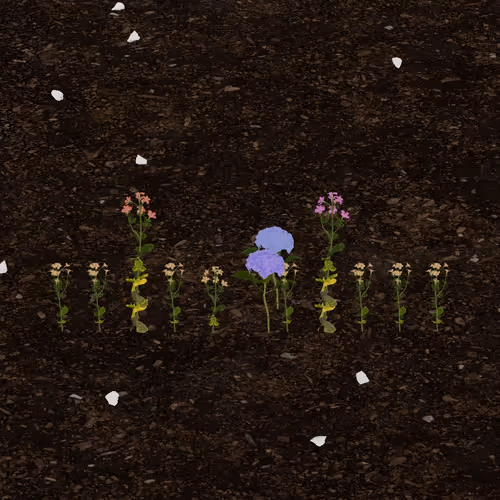 0x0fb3's Token Garden