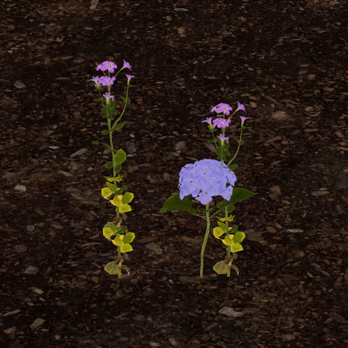 Token Garden