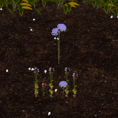bellz.eth's Token Garden