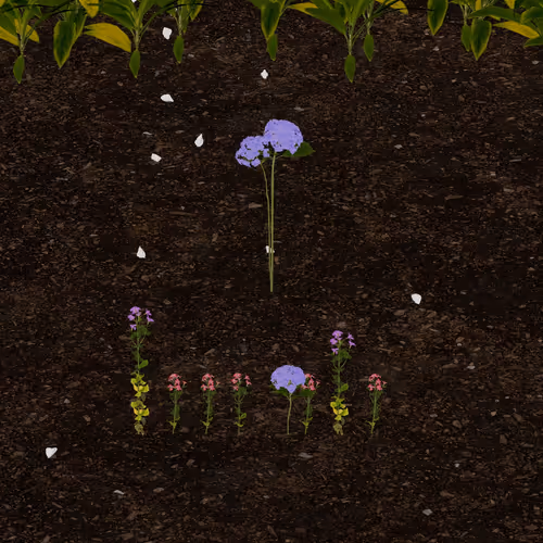 Token Garden