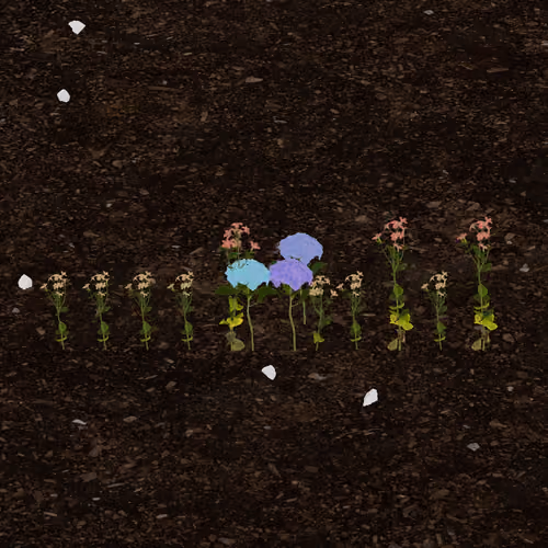 munam.eth's Token Garden