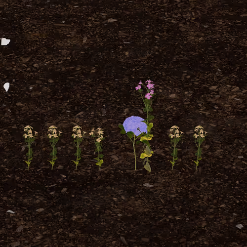 gweindoline.eth's Token Garden