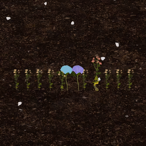 Token Garden