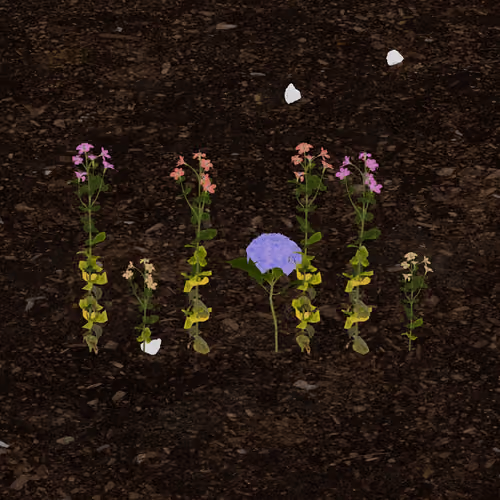 0xd0c.eth's Token Garden