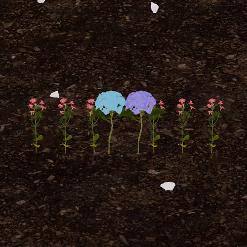 Token Garden